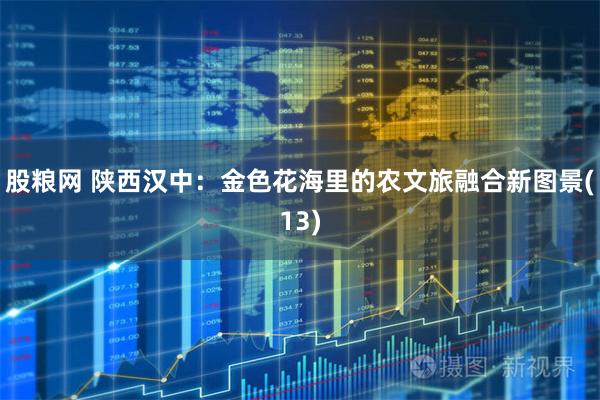 股粮网 陕西汉中：金色花海里的农文旅融合新图景(13)