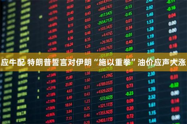 应牛配 特朗普誓言对伊朗“施以重拳”油价应声大涨
